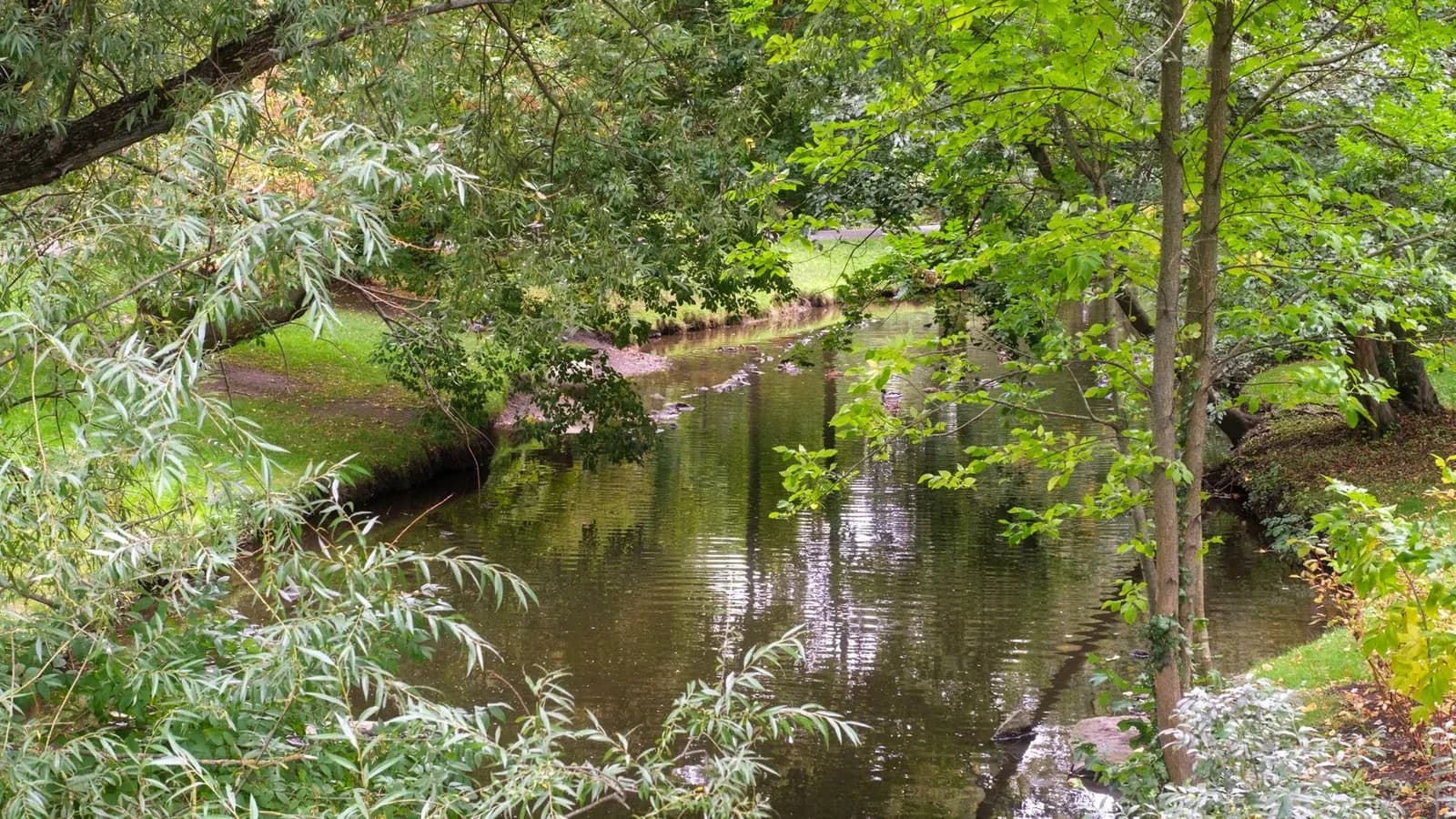 A serene stream meanders through a lush, green park, bordered by dense foliage and trees with reflections visible in the still water.