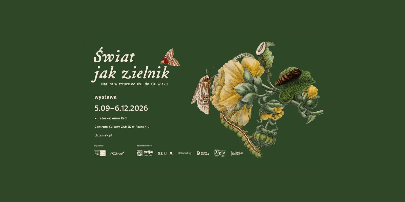 A dark green background with white text describing an exhibition, and on the right side, an illustration of yellow flowers, moths, and a caterpillar.
