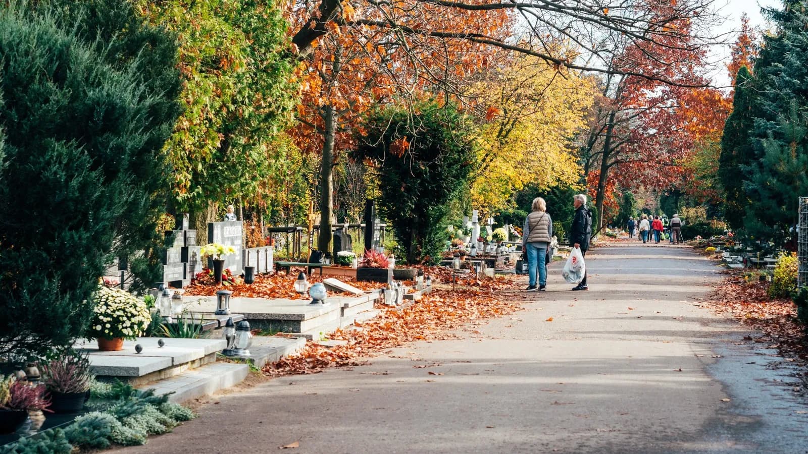 Two women stand on a paved path in a cemetery during autumn, surrounded by graves adorned with flowers and many trees with colorful fall foliage.