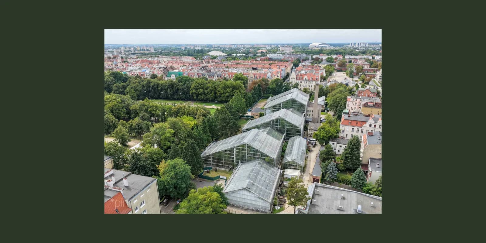 An aerial view of a botanical garden with several large glass greenhouses surrounded by lush green trees, with urban buildings and a distant cityscape under an overcast sky.
