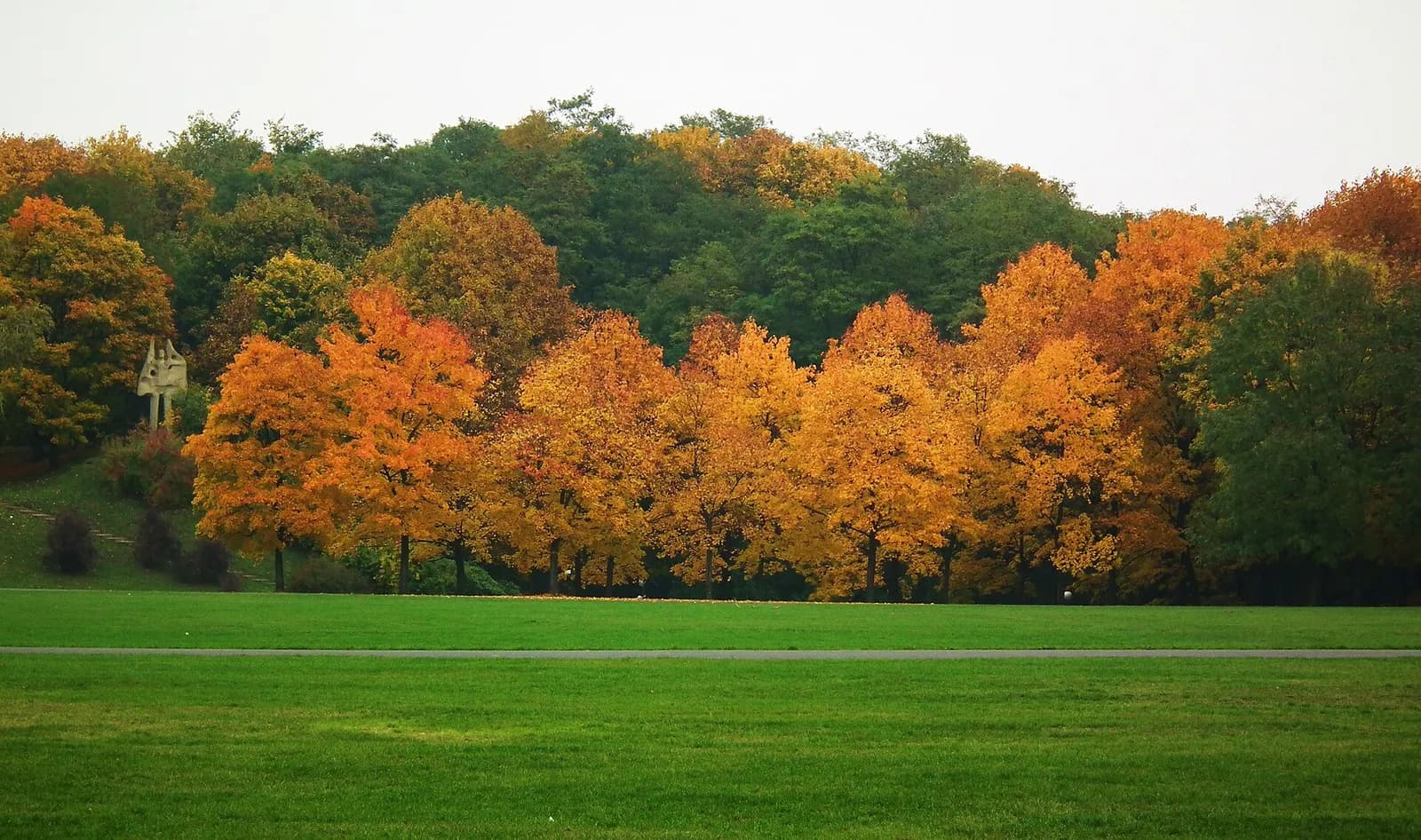A vibrant autumn landscape features a line of brilliant orange and yellow trees in front of a denser forest of dark green trees, with a wide expanse of bright green grass in the foreground.