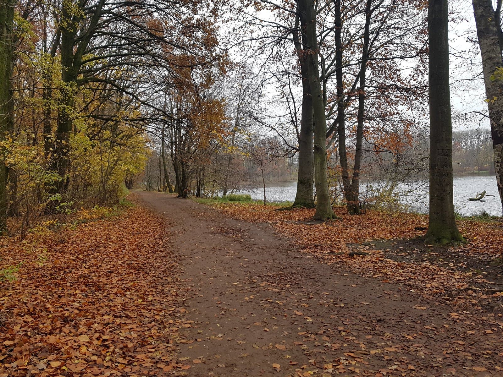 Rusałka’s Scenic Trails Get a Much-Needed Makeover