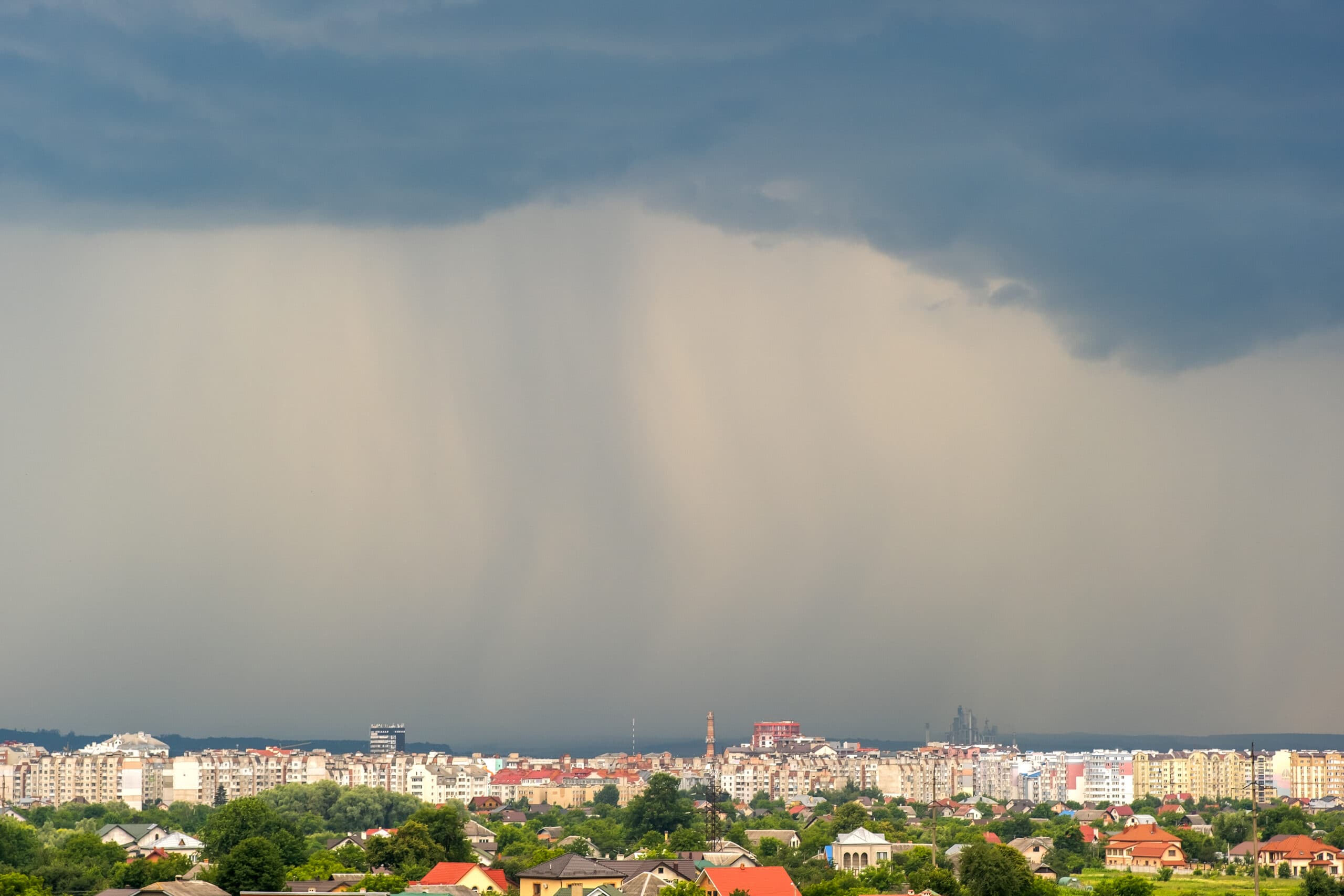 Watering Trees in Rain? Discover the Smart Strategy Behind Poznań’s Urban Greenery