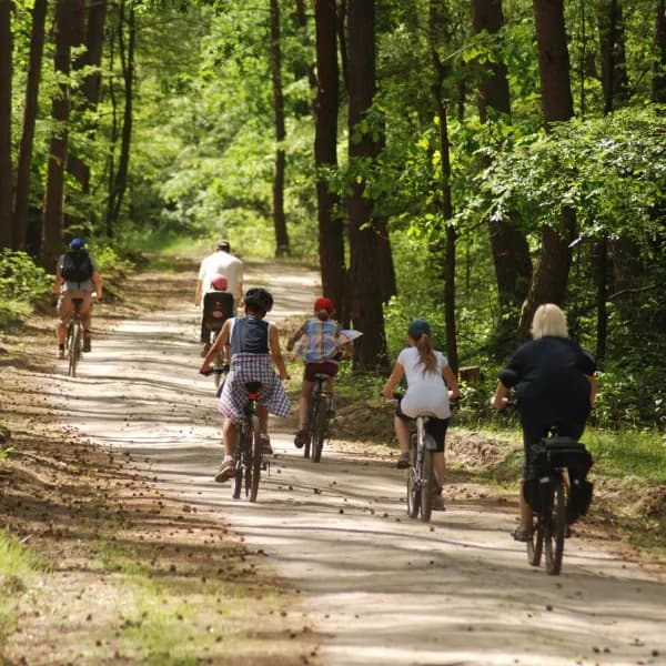 Best cycling routes in Poznań: where to start the bike season in spring