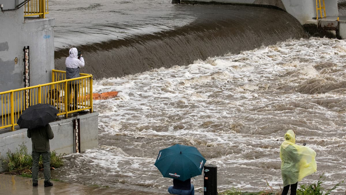 Biedronka Steps Up to Support Flood Victims Across Poland