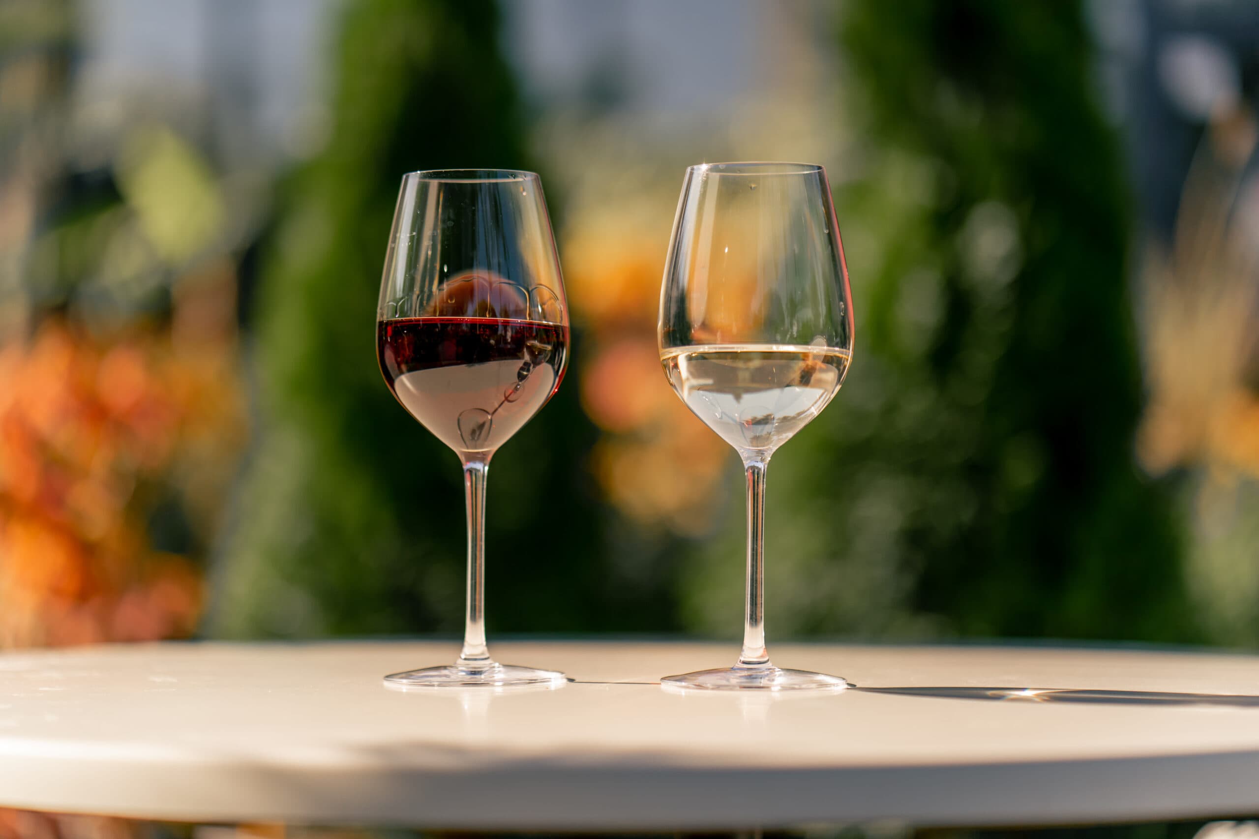 From Novice to Sommelier: Transform Your Wine Knowledge at the Poznań Wine Fair