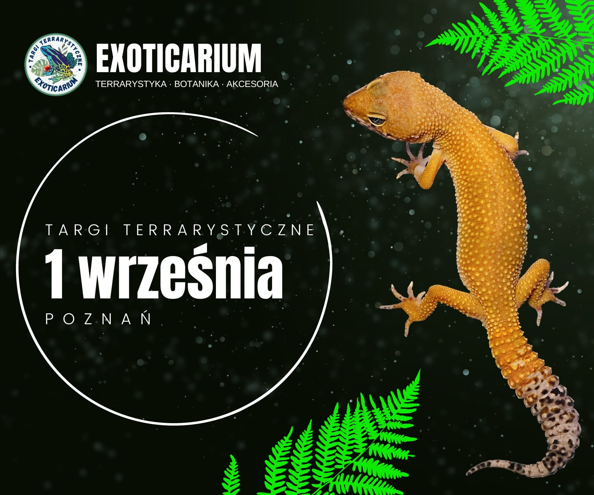 Exoticarium Poznań: A Thrilling Close Encounter with Exotic Creatures