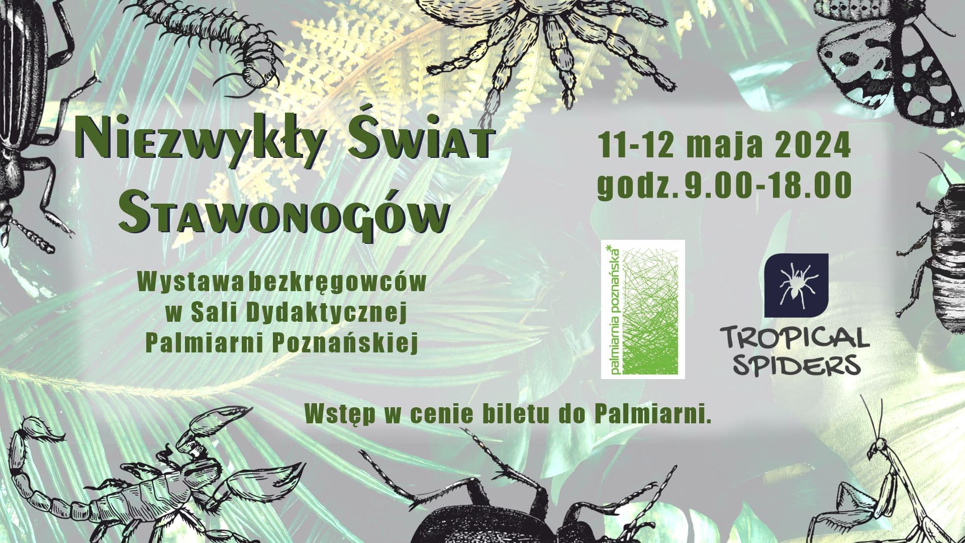 Discover the Enchanting World of Invertebrates at Palmiarnia Poznańska!