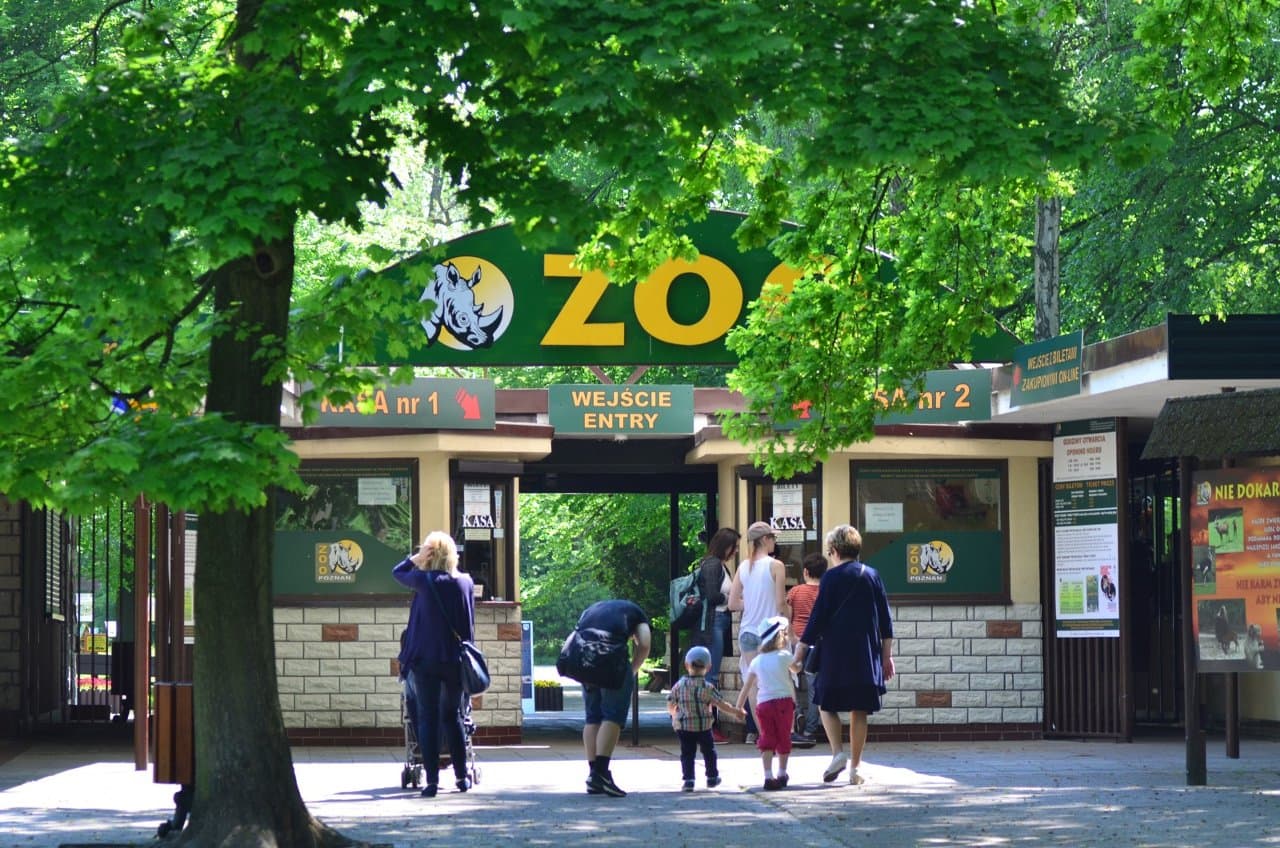 The Unforgettable Wildlife Adventure Waiting for You at Nowe Zoo