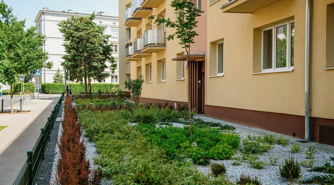 3 Green Initiatives That Are Transforming Poznań in Spring 2025!