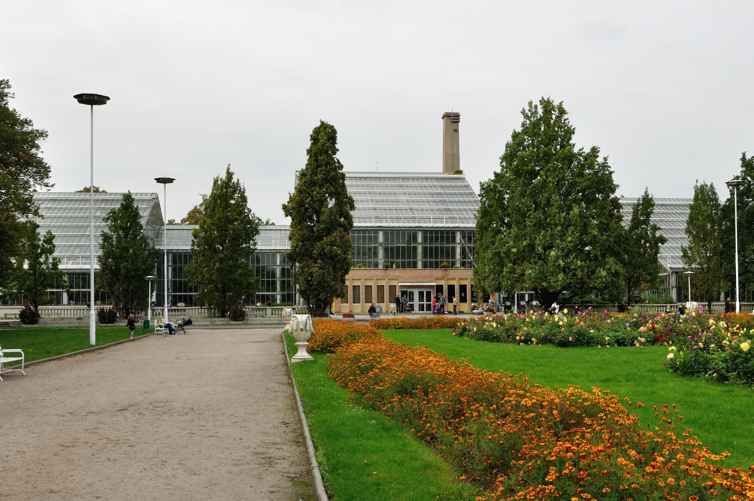 Exploring Palmiarnia Poznańska: A Botanical Paradise