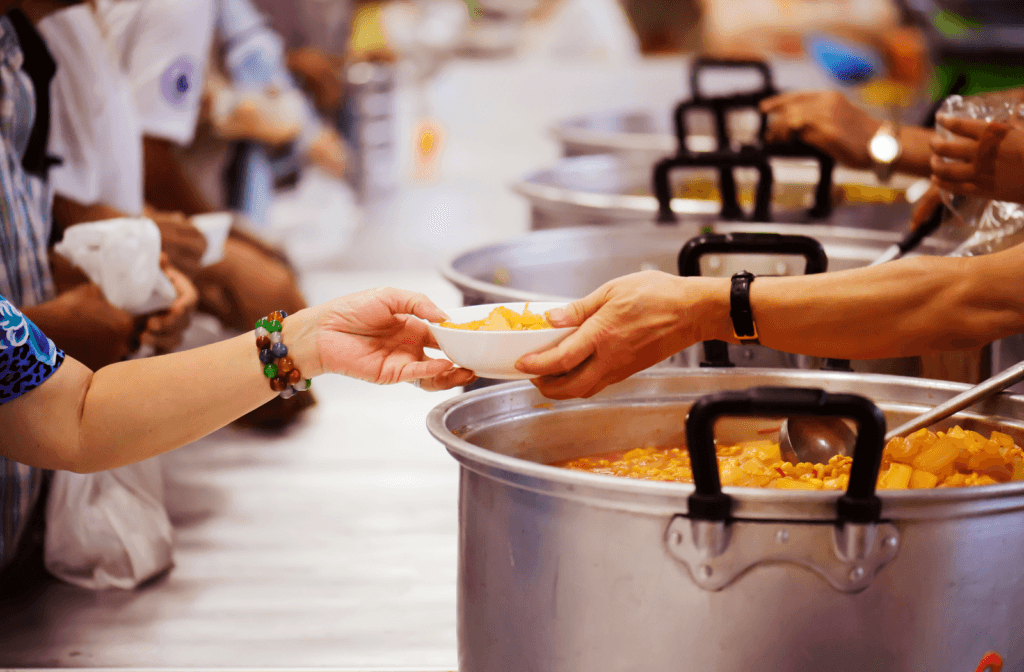 Give Back This Summer: Volunteering Opportunities That Make a Difference in Poznań