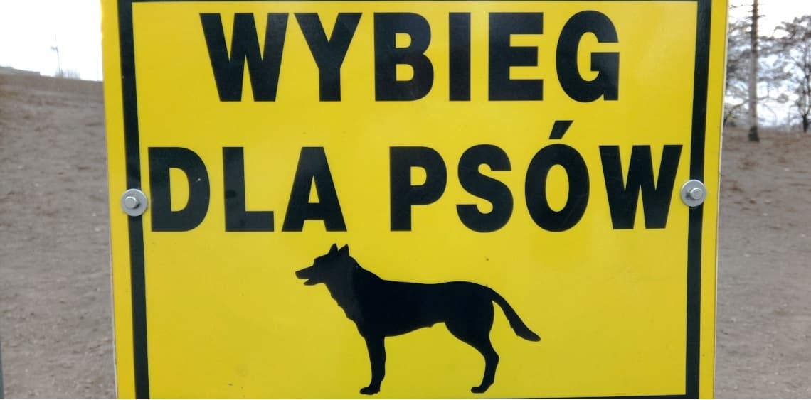 Poznań’s Top Dog Parks: Fun Awaits Your Furry Friend!