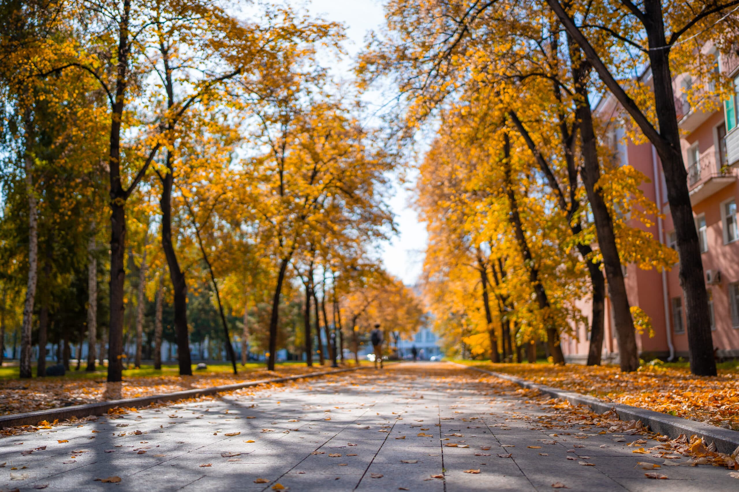 Poznań in autumn: The Ultimate 2025 Guide to Cosy Cafés, Culture & Photo Spots