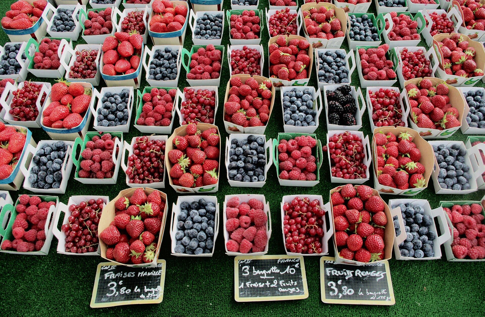 Berry, Berry, Berries: The Unique Taste of Poland’s Summer Season