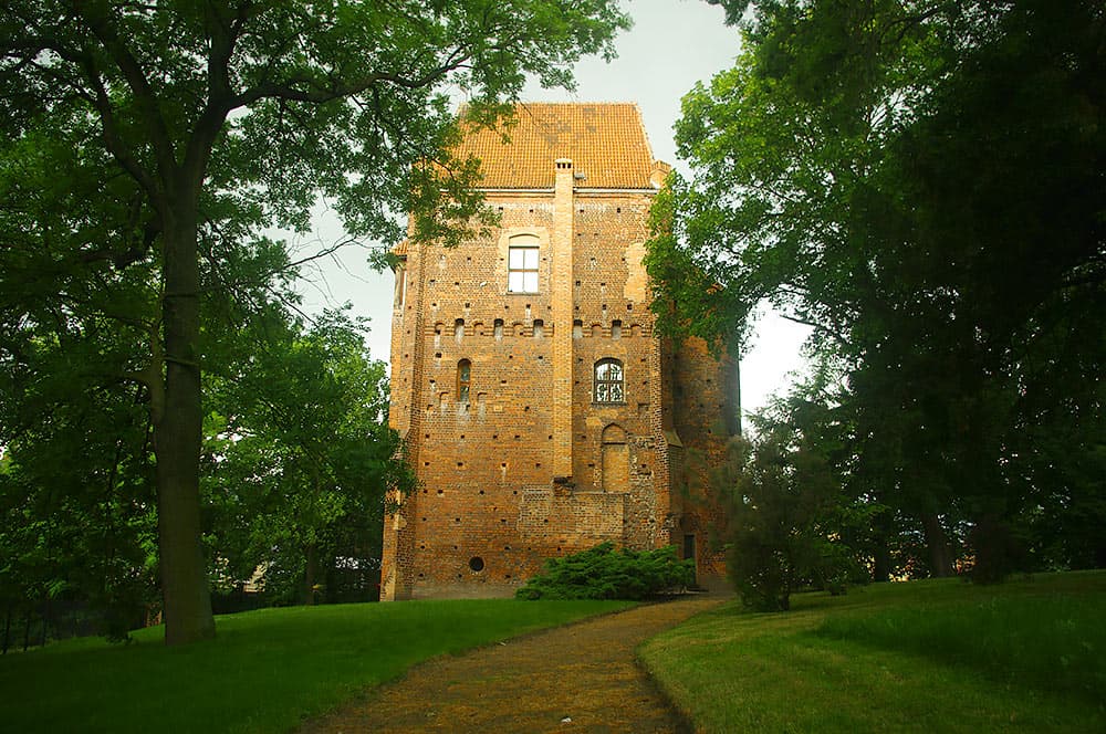 The Mystery of Halszka: A Day in Szamotuły’s Enchanted Tower