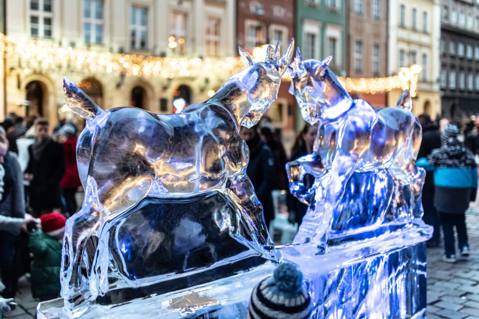 Poznań Ice Festival 2025