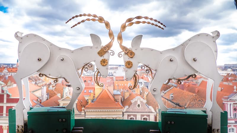 The Tale of Poznań’s Iconic Mechanical Goats