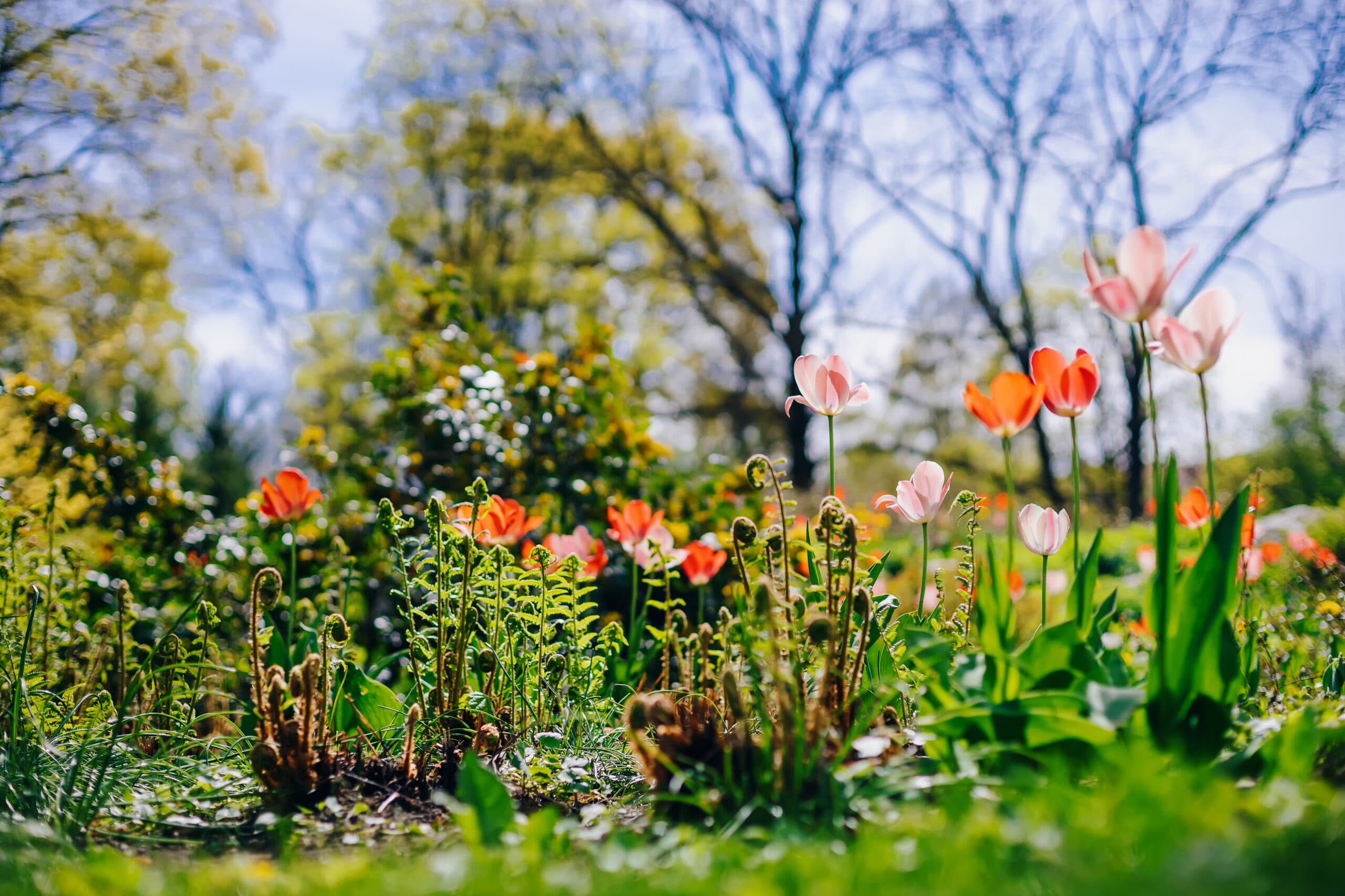 How to Enjoy Spring in Poznań as the Days Get Warmer?