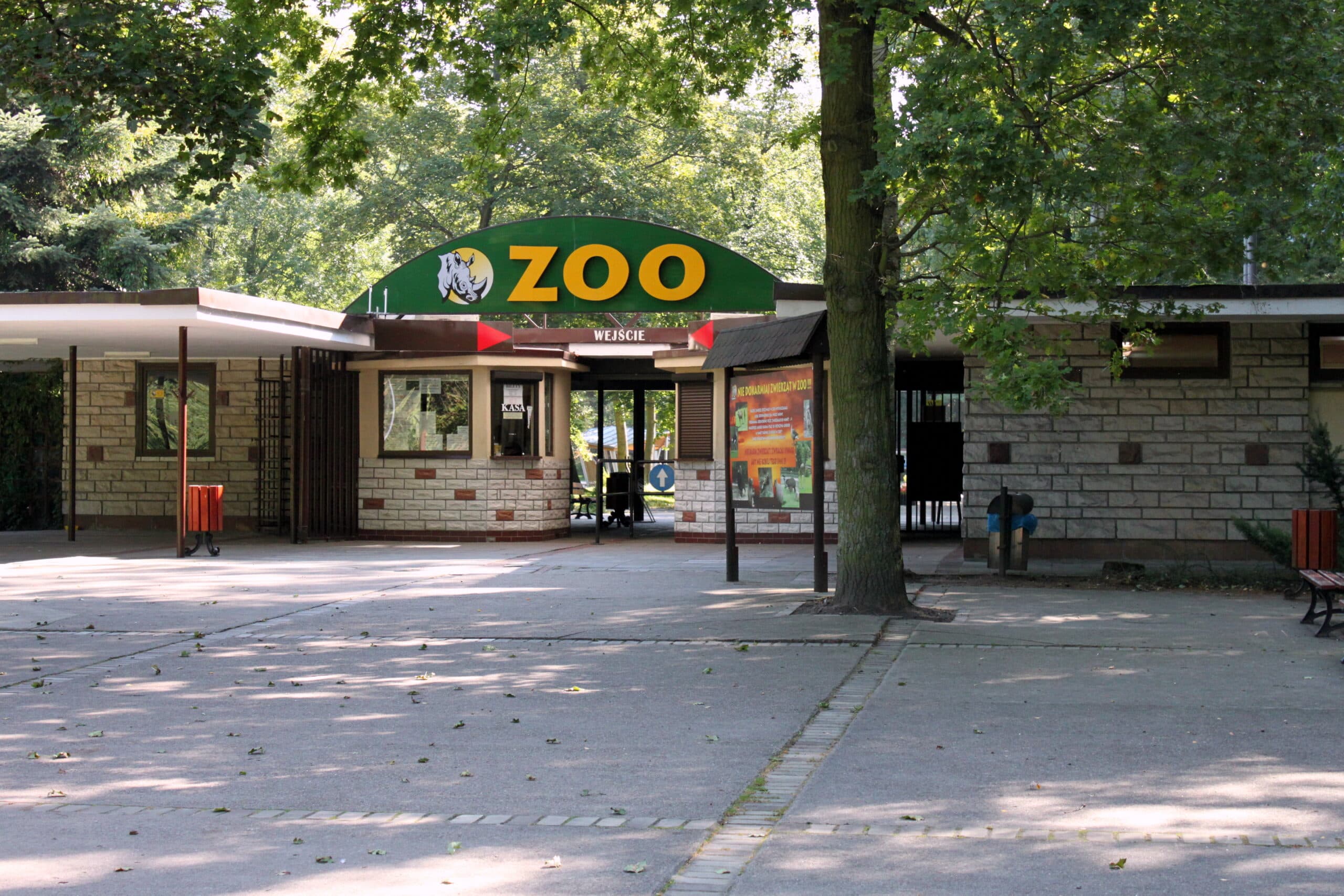 In 2025 Wild Summer Adventures Await at Poznań’s New Zoo!
