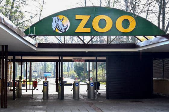 50 Years of Poznań’s New Zoo: A Special Weekend of Celebration!
