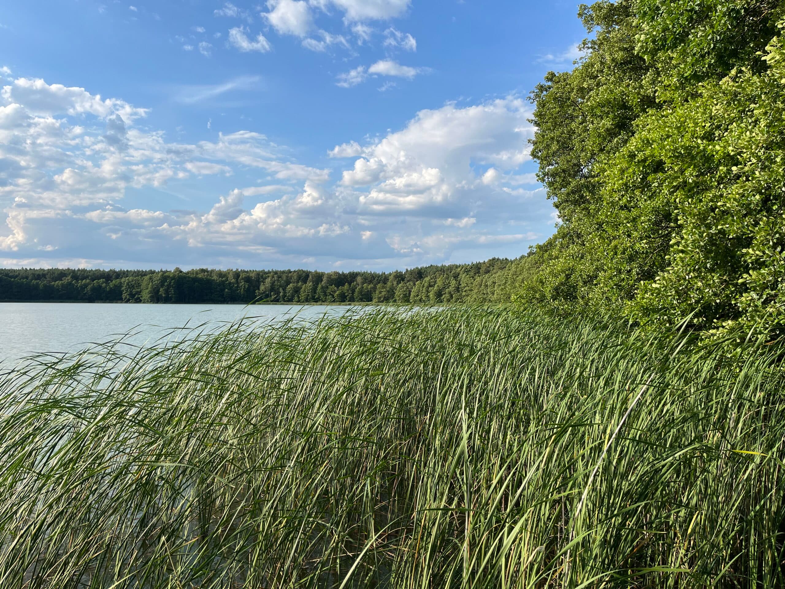 Discover the Lakes of Poznań: Embracing Nature in the City