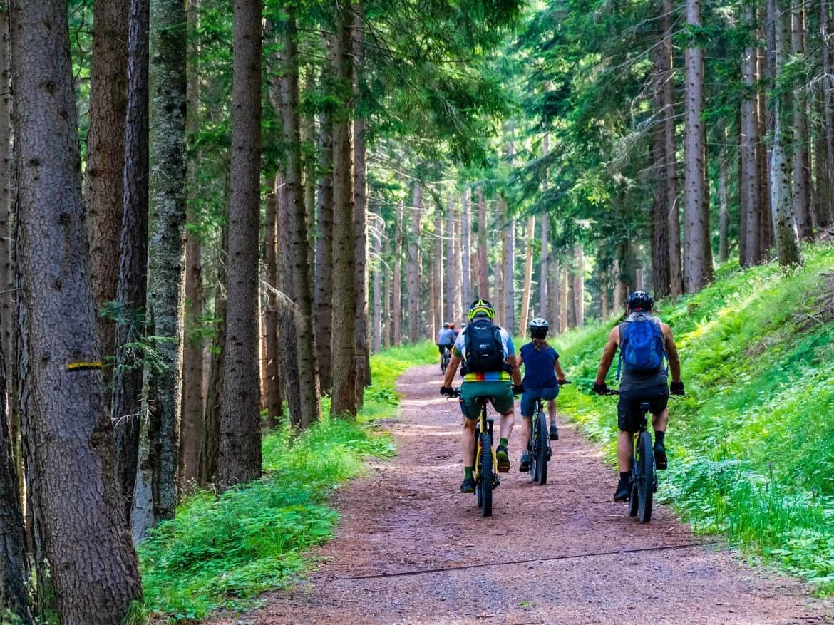 Wielkopolska on Two Wheels: Discover the Best Cycling Routes