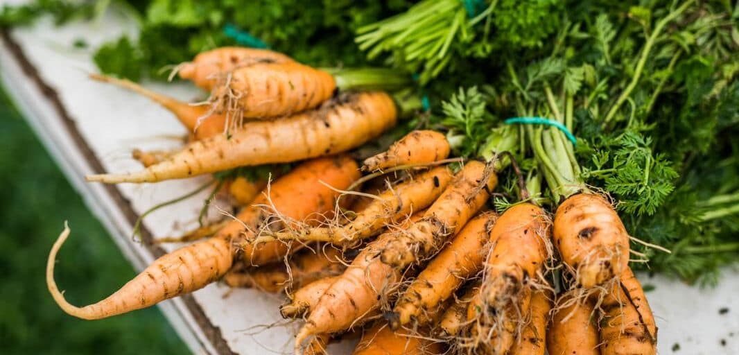 Zielony Targ is Where Poznań Finds Fresh, Organic Food Every Week!